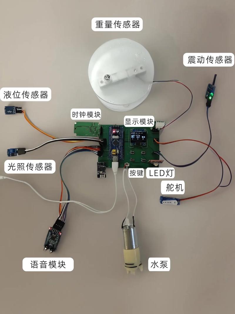 自动投喂器与舵机控制信息科技教学设计六年级_自动投喂器与舵机控制信息科技教学设计六年级_自动投喂器与舵机控制信息科技教学设计六年级