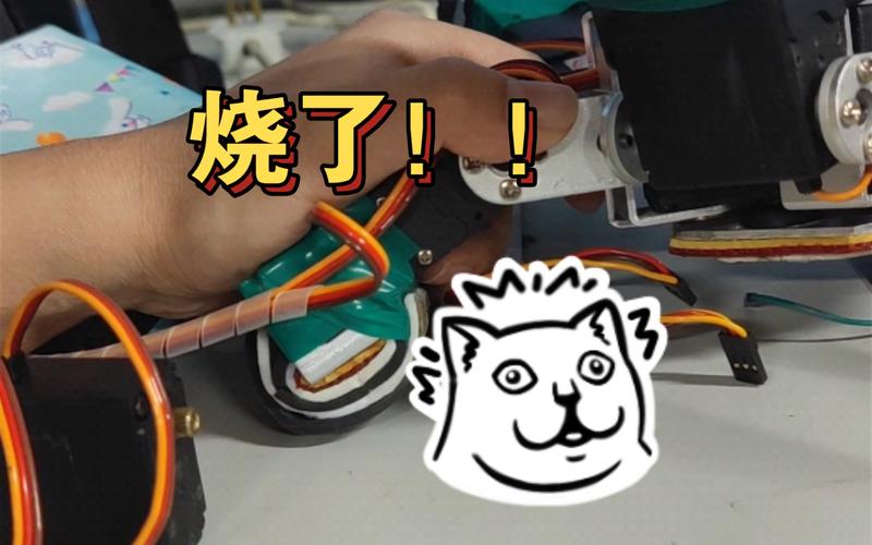 舵机烧了什么现象_舵机为什么会烧_舵机如果插反了会烧吗